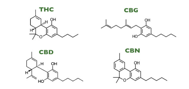 What are Cannabinoids